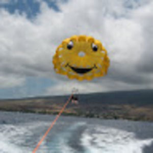 Meet your Posher, Joni